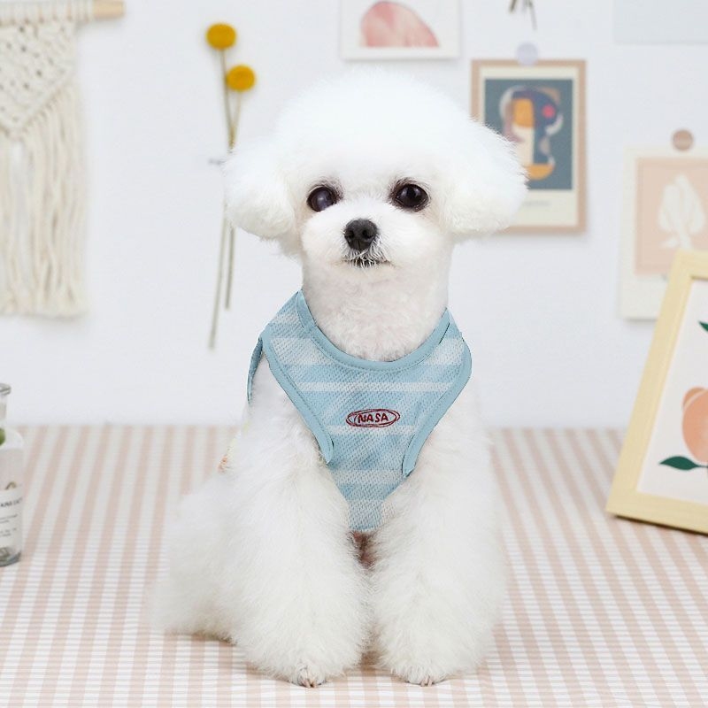 Kawaii Chiikawa gestreept huis - Summer Away Clothing recensie en prijs